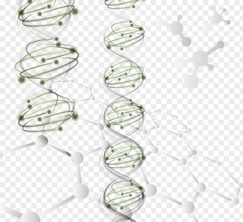 Chain Gene DNA Helix PNG