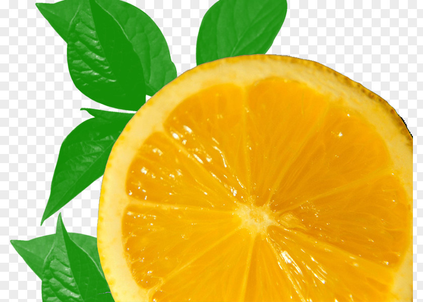 Creative Lemon Slice Clementine Mandarin Orange PNG