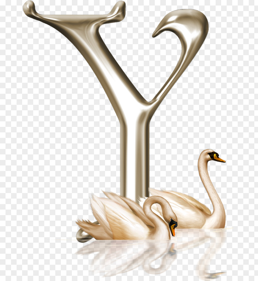 Swans Alphabet Letter Clip Art Name Image PNG