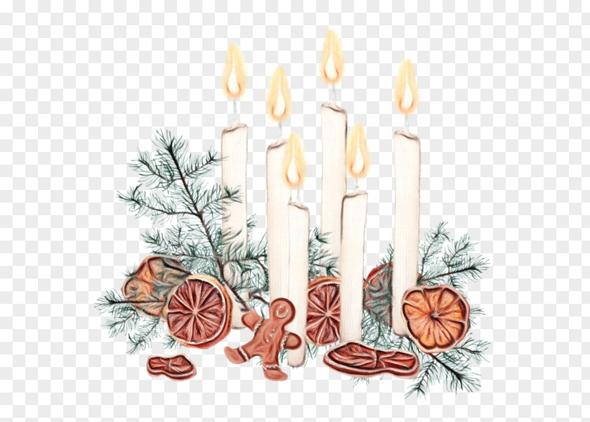 Candle Lighting Holder Branch Plant PNG