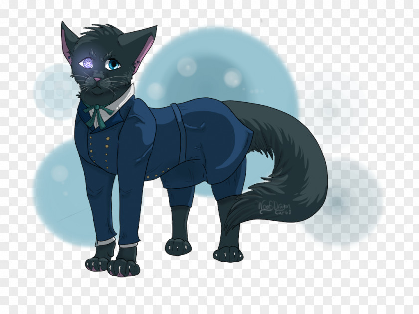 Kitten Korat Black Cat Ciel Phantomhive Whiskers PNG