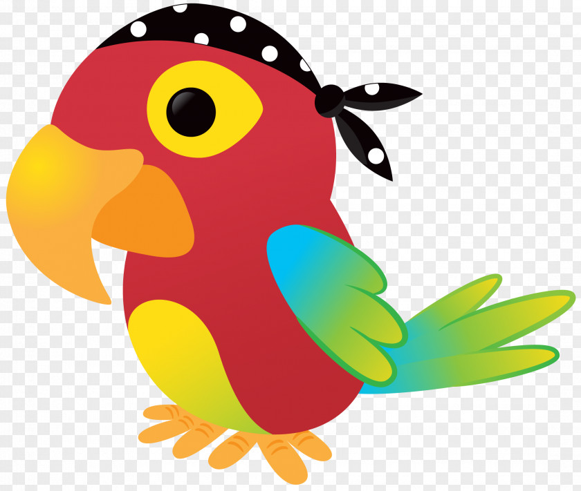 Pirate Piracy Parrot Drawing Clip Art PNG