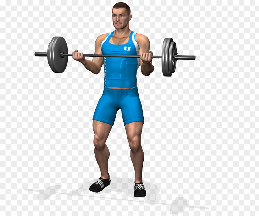 Barbell Biceps Curl Exercise Dumbbell PNG