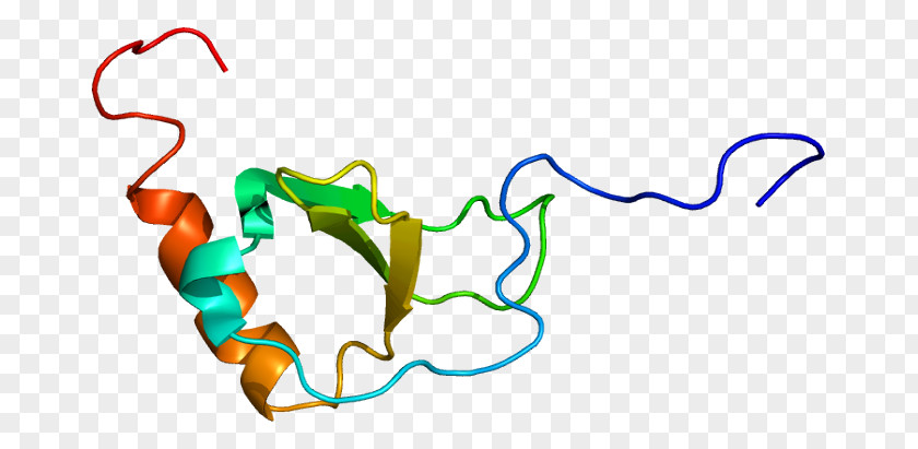 CX3CR1 CX3CL1 Chemokine Receptor Protein PNG
