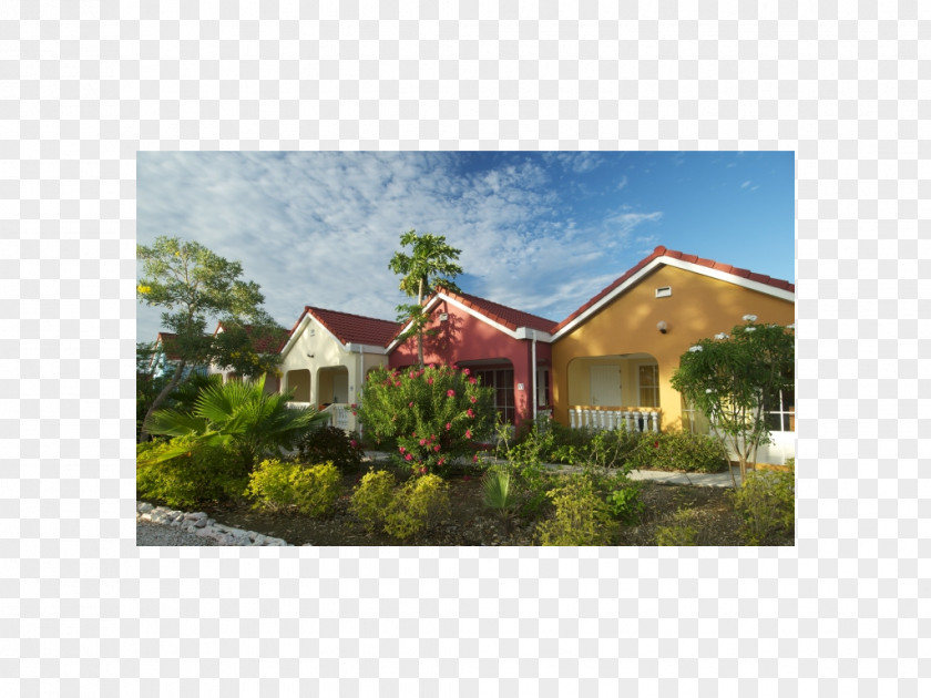 Hotel Livingstone Jan Thiel Resort Vacation Beach PNG