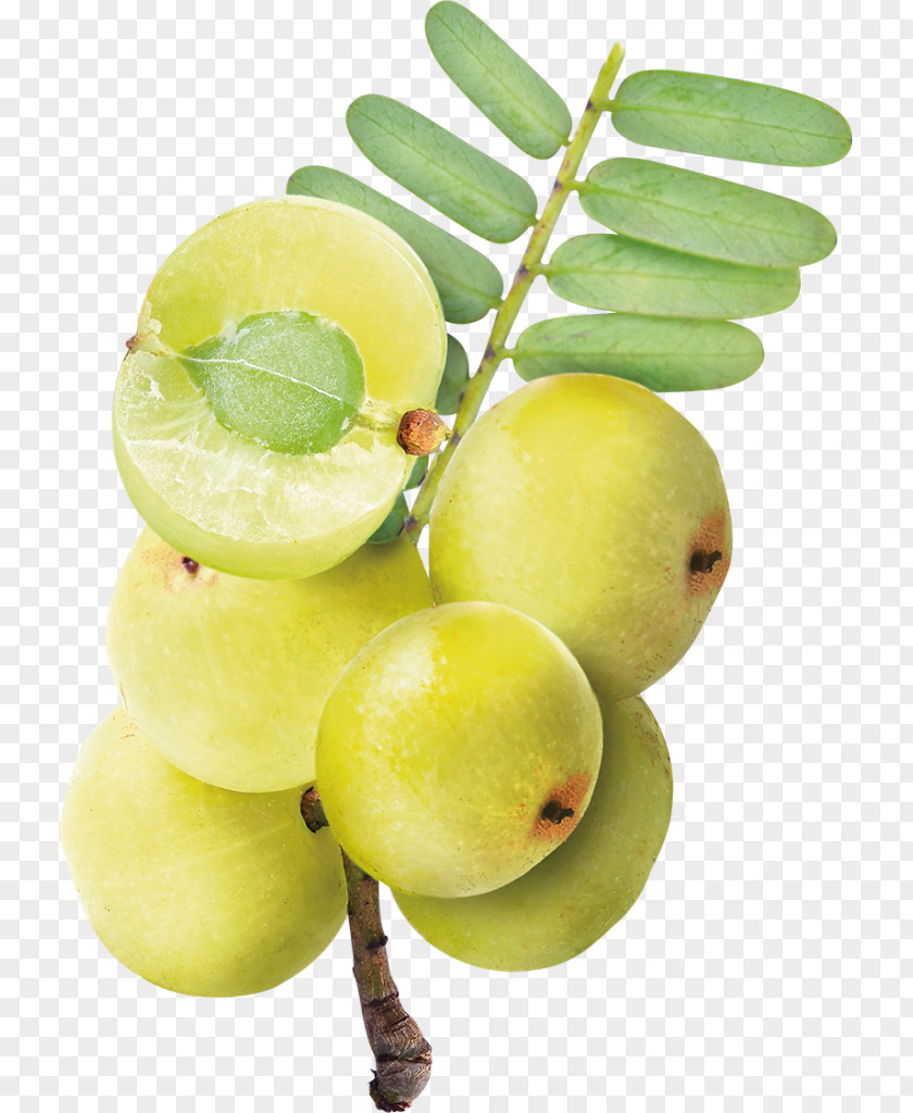 Juice Key Lime Indian Gooseberry Persian PNG