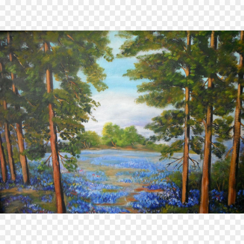 Painting Watercolor Acrylic Paint Texas Hill Country PNG