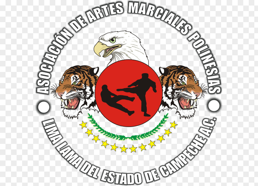 Tiger Carnivora Logo Brand Clip Art PNG