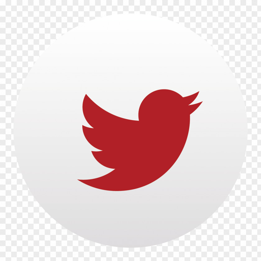Twitter Logo Brand Business PNG