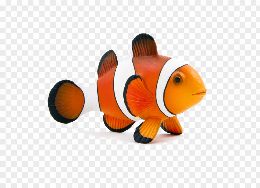 Goldfish Clydesdale Horse Ocellaris Clownfish Toy PNG