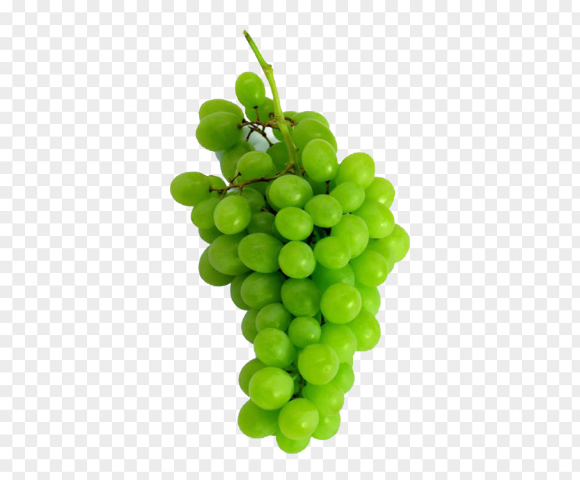 Grape Grapevines Sultana Fruit Wine PNG