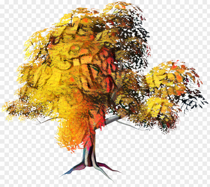 Modern Art Plant Autumn Tree Branch PNG