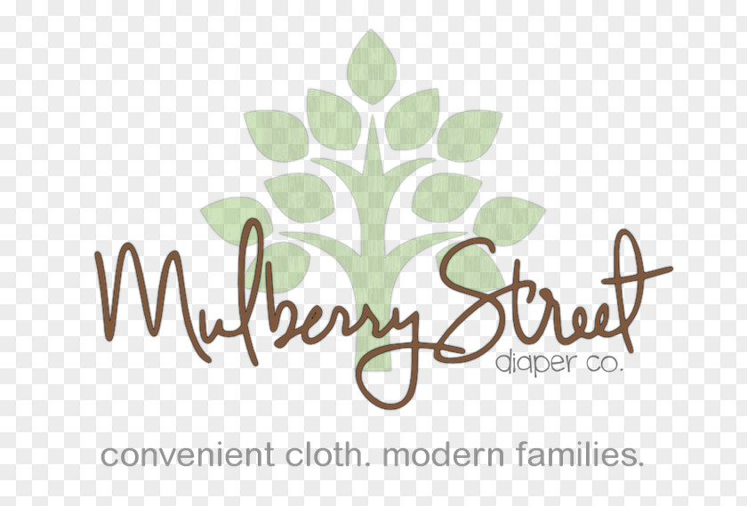 Mulberry Baby Leola, Pennsylvania Cloth Diaper The Store Alaska PNG