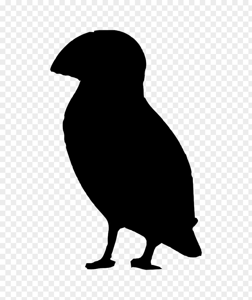 Silhouette Puffin Black And White Beak PNG