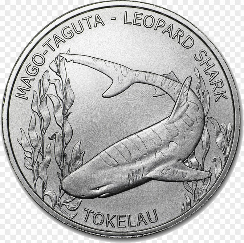 Silver Tokelau Coin Bullion PNG
