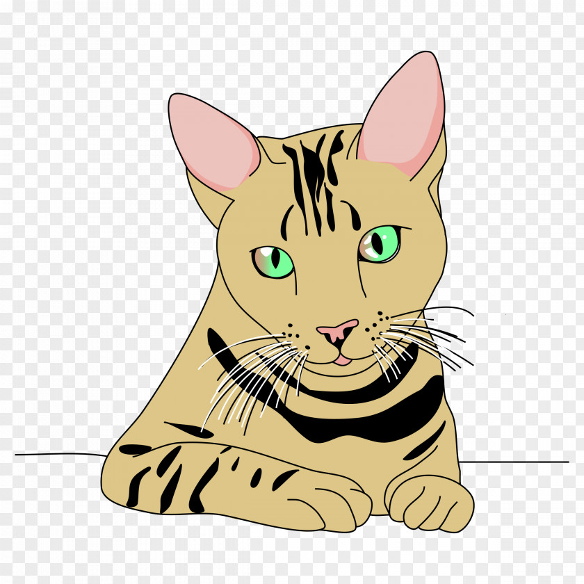 Tiger Computer Mouse Mats Joke Humour Clip Art PNG