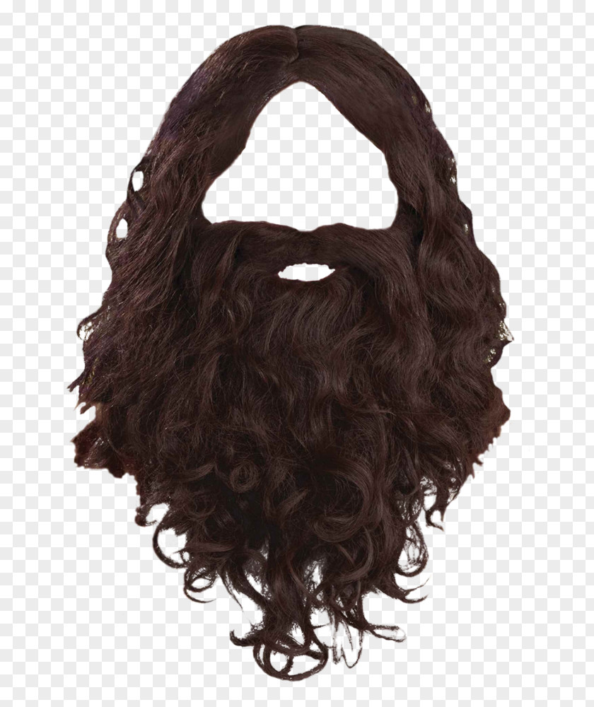 Beard Wig Facial Hair Moustache PNG