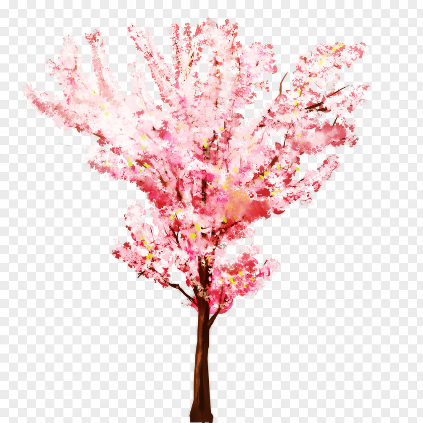 Cherry Blossom Watercolor Tree Branch Twig PNG