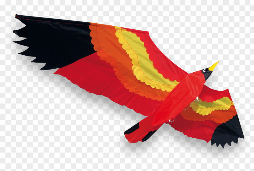Dragon Kite Wind Toy Foosball PNG