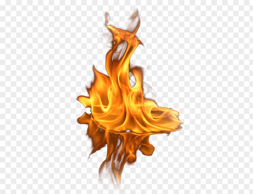 Fire Light Flame Clip Art PNG