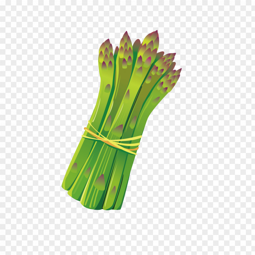 Fresh Bamboo Shoots Shoot PNG