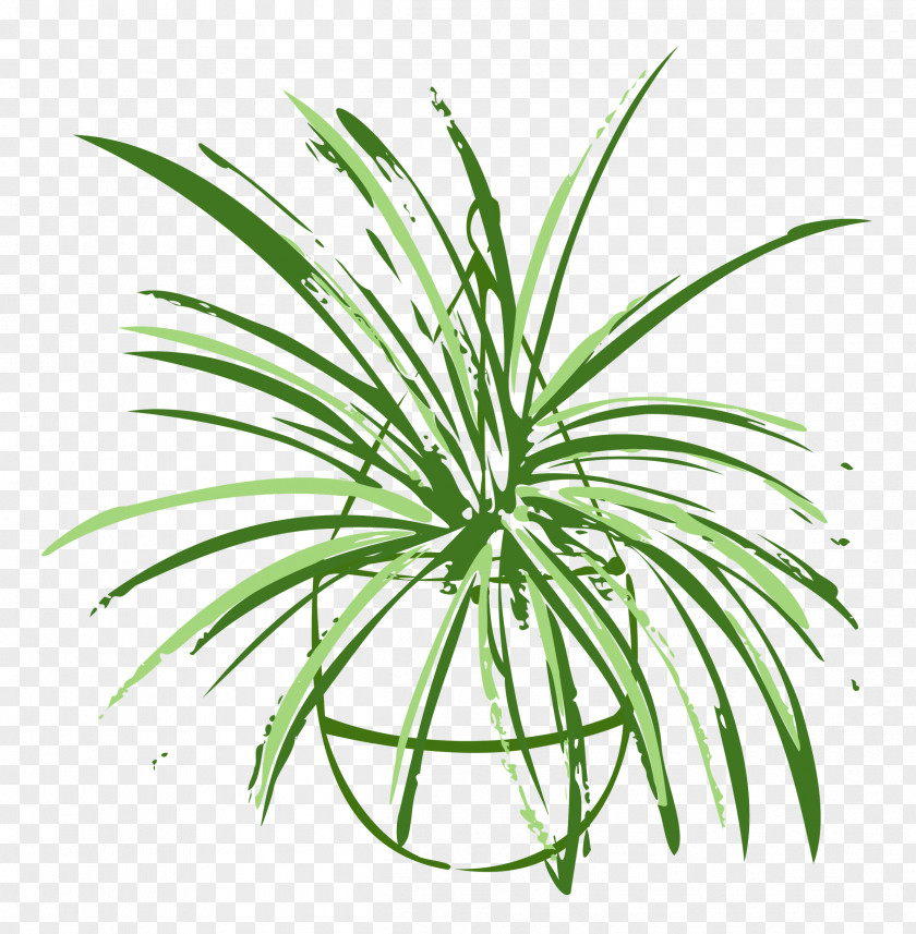 Plant Pot Garden PNG