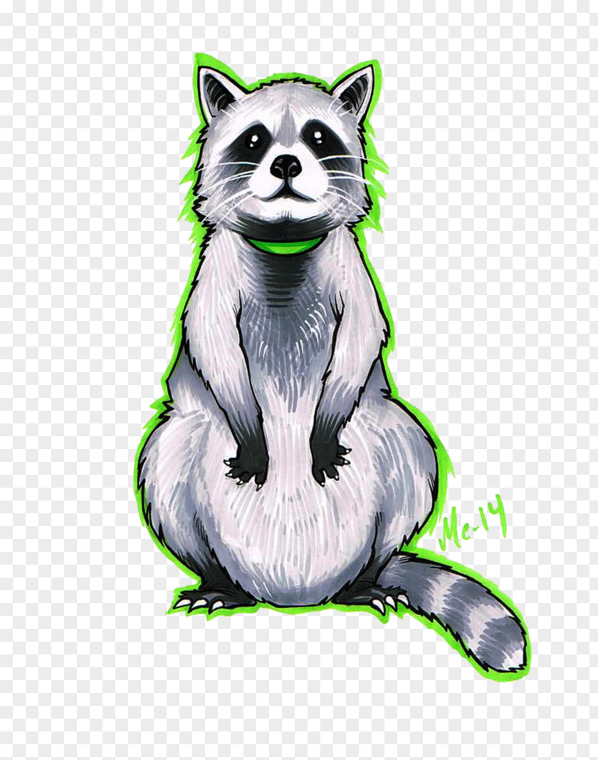 Raccoon Rocket Whiskers Drawing DeviantArt PNG