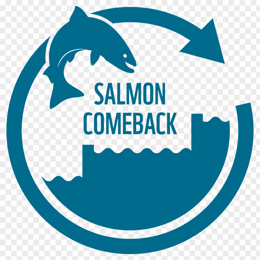 Switzerland Atlantic Salmon Basel Rhine Ecology PNG
