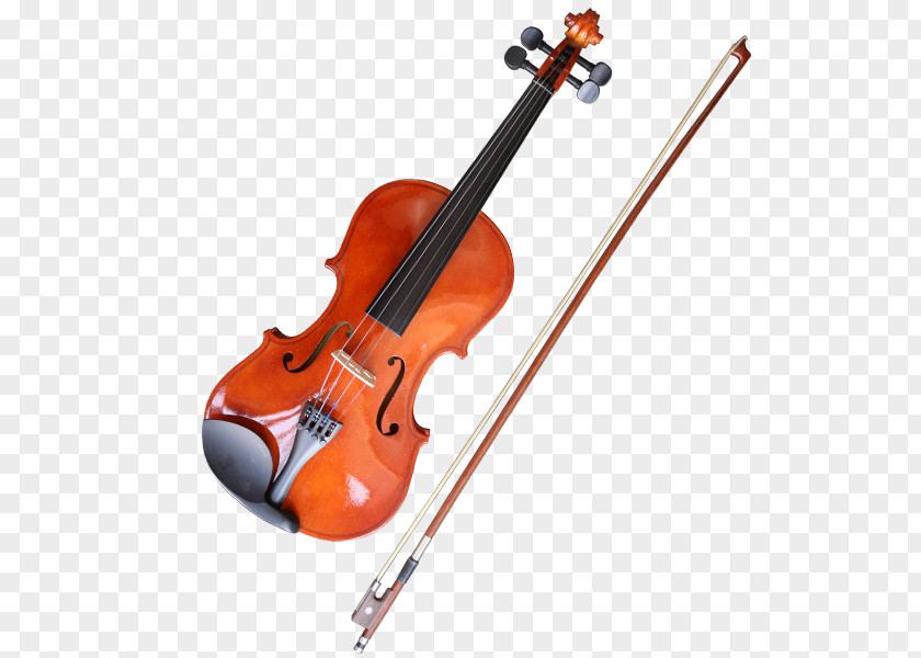 Violin Bass Viola Violone Cello PNG