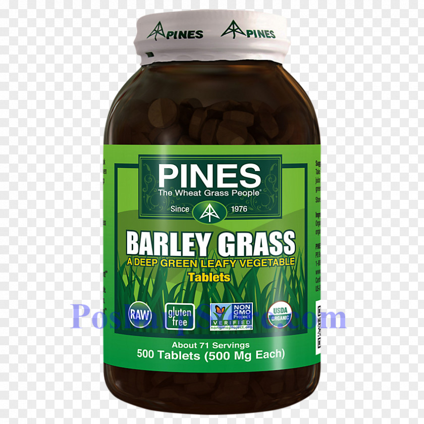 Barley Organic Food Wheatgrass Powder PNG