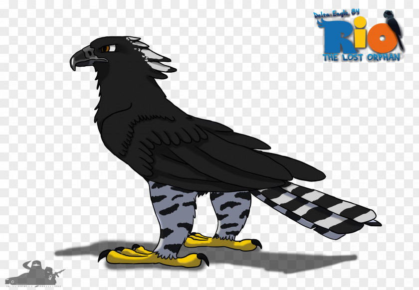 Eagle YouTube Rio Drawing Fan Art PNG