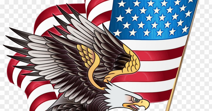 Golden Eagle Falconiformes Veterans Day Celebration Background PNG