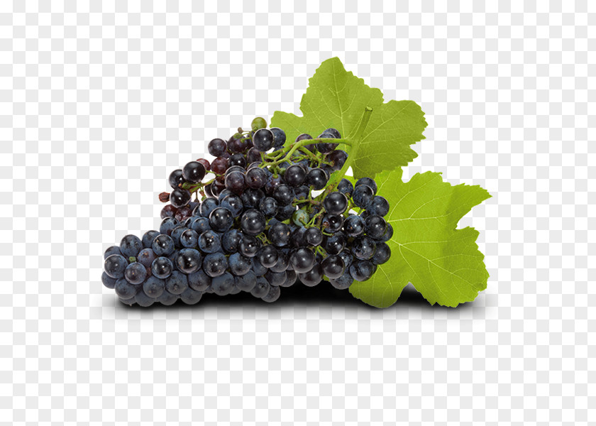 Grape Common Vine Zante Currant Wine Seedless Fruit PNG
