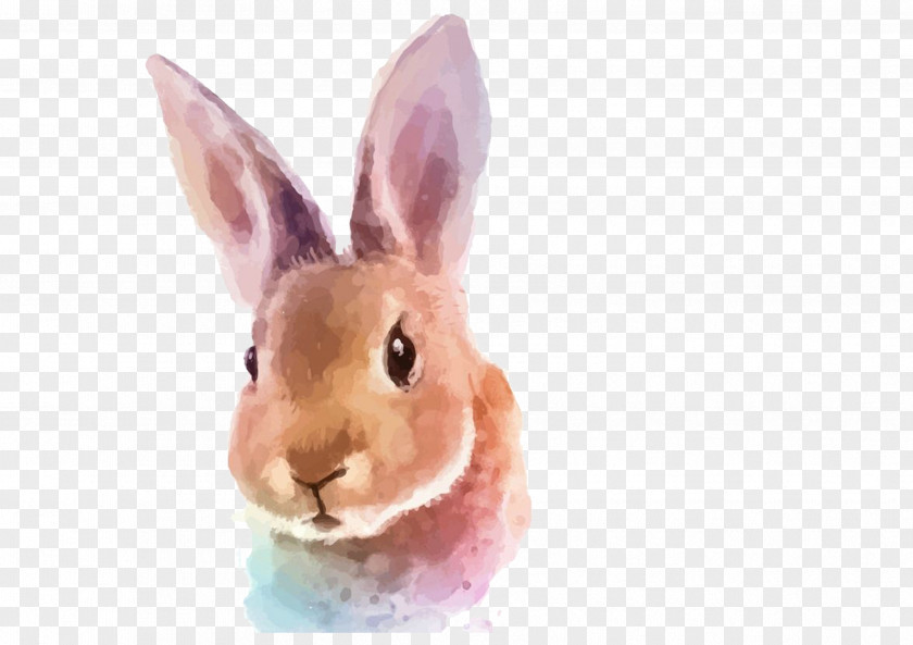 Hand Painted Rabbit Watercolor Painting Illustration PNG