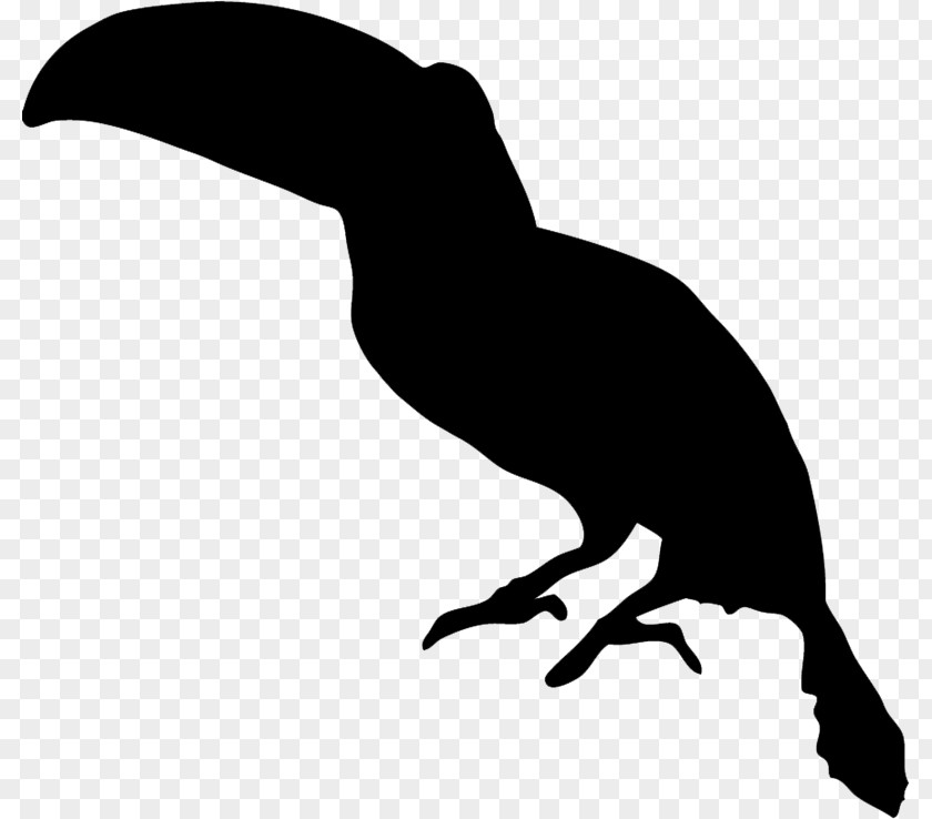 Toucan Bird Silhouette Clip Art PNG