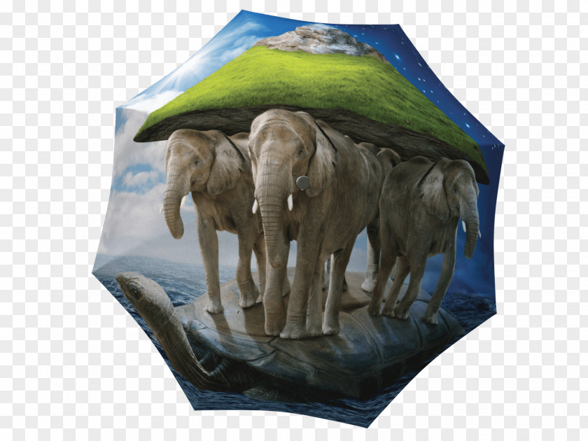 Turtle Indian Elephant La Bella Umbrella African World PNG