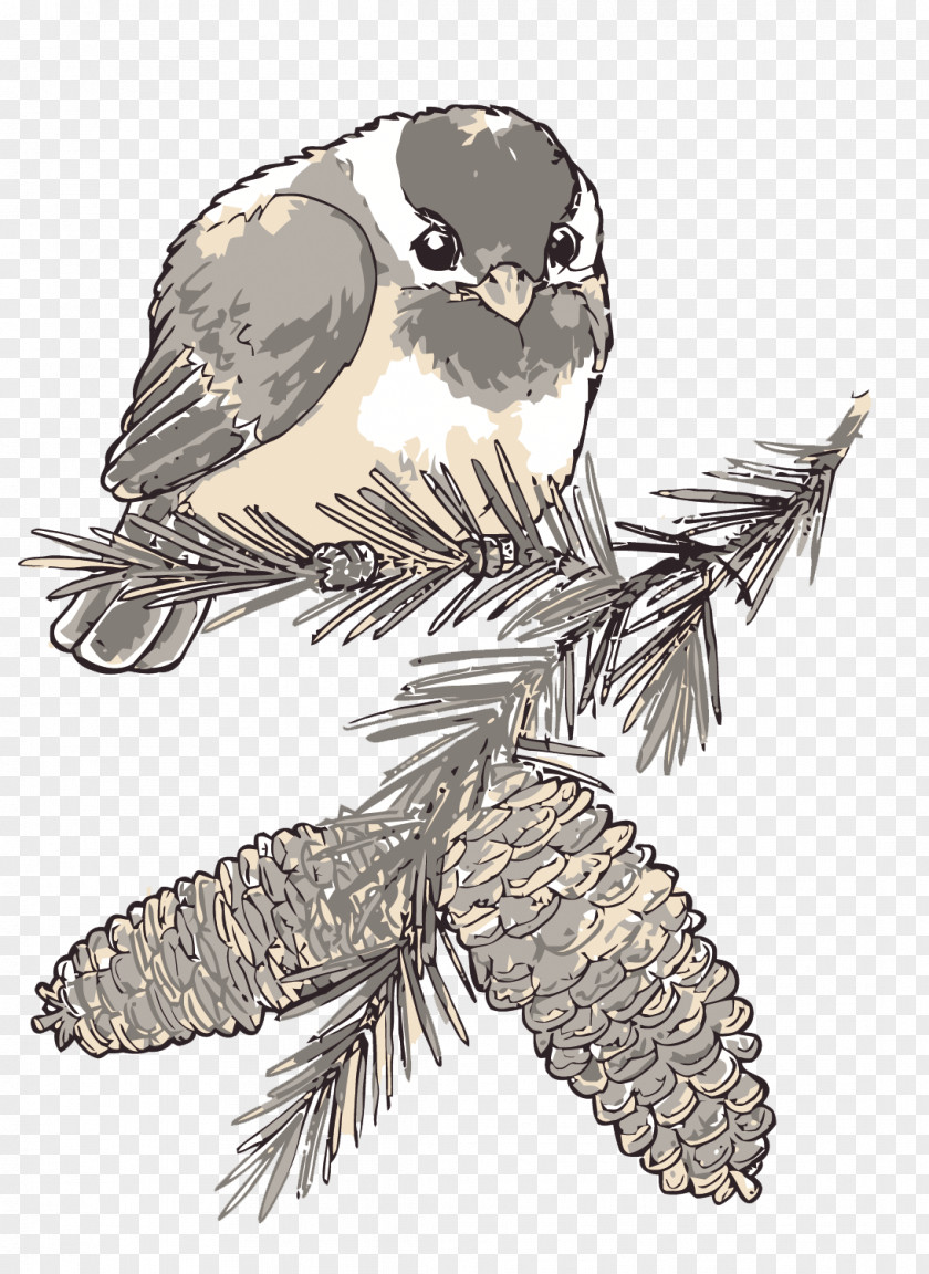 Vector Pine On The Sparrow Watercolor Painting PNG