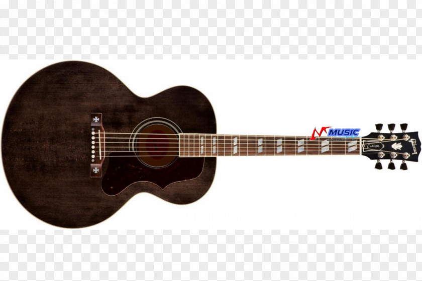 Acoustic Guitar Fender CC-60SCE Musical Instruments PNG
