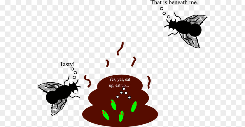 Bactericidal Mycoplasma Insect Clip Art Illustration Design Desktop Wallpaper PNG