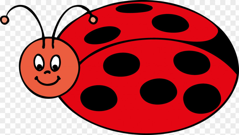 Beetle Seven-spot Ladybird Clip Art Image Drawing PNG