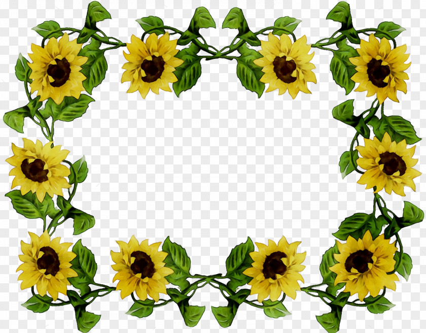 Clip Art Borders And Frames Image Stock Photography PNG