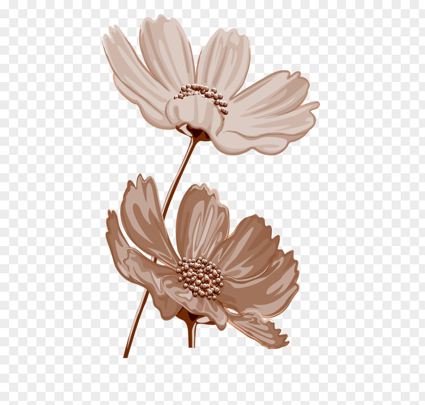 Flower Floral Design Petal Scrapbooking Clip Art PNG