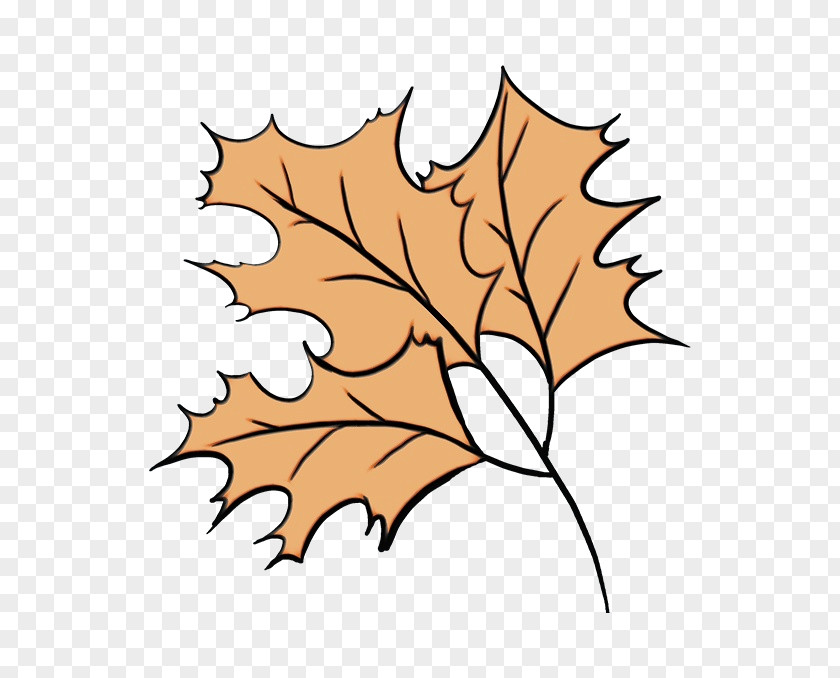 Holly Maple Leaf PNG