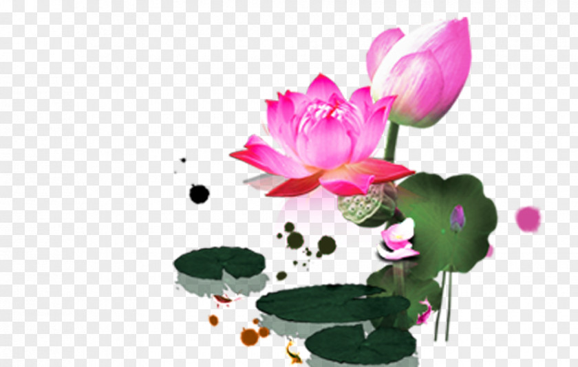 Lotus Ink Wash Painting Chinese Poster PNG
