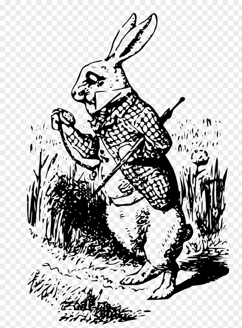 Peter Rabbit White Alice's Adventures In Wonderland Cheshire Cat PNG