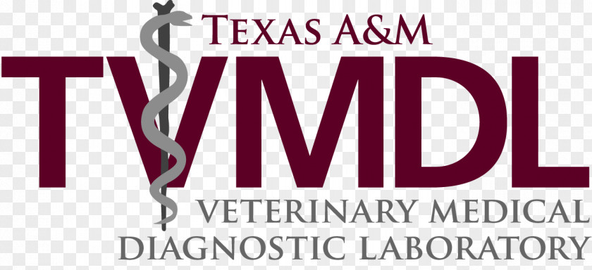 Philippine Veterinary Medical Association Logo Font Brand Product Text Messaging PNG