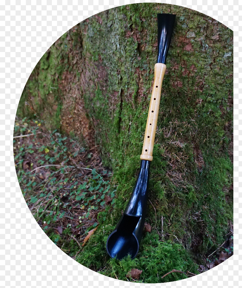 Tree Pibgorn Wales Musical Instruments The Lord Of Rings Online PNG