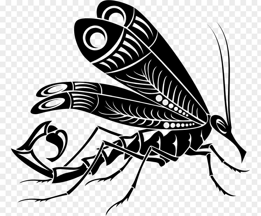 Butterfly Scorpion Gray Wolf Mosquito Clip Art PNG