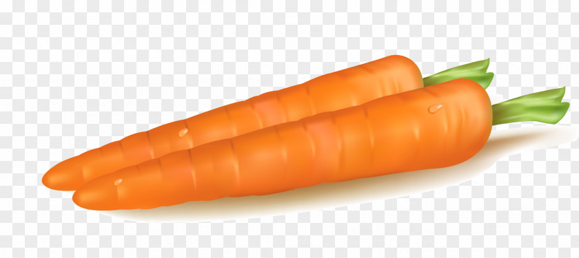 Carrot Baby Vegetable PNG