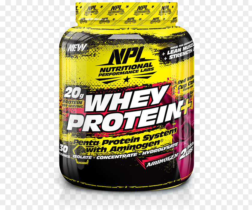 Dietary Supplement National Premier Leagues Whey Protein Isolate Bodybuilding PNG